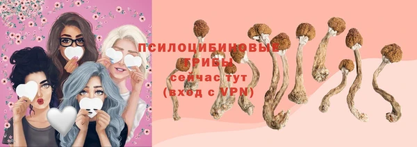 дмт Армянск